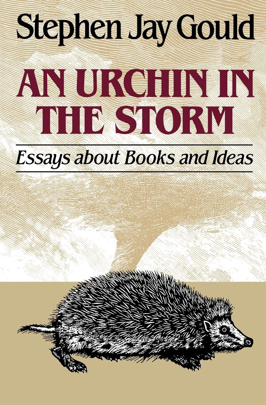 An Urchin in the Storm: Essays About Books and Ideas