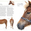 The Horse Encyclopedia (DK Pet Encyclopedias)