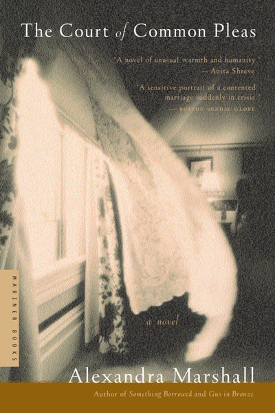 The Court Of Common Pleas: A Novel