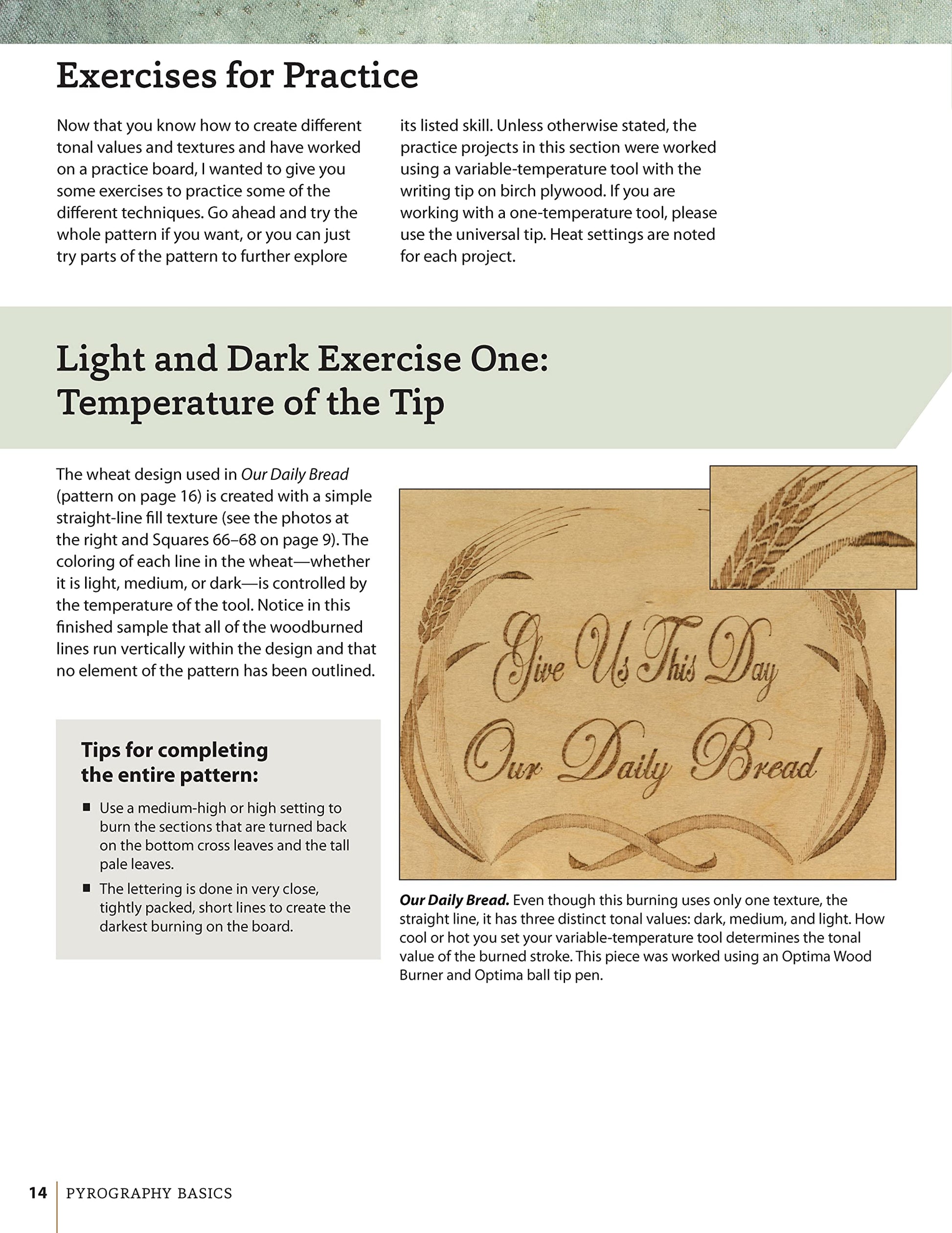 Pyrography Basics: Techniques and Exercises for Beginners (Design Originals) Patterns for Woodburning with Skill-Building Step-by-Step Instructions and Advice from Lora Irish on Texture and Layering