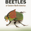 Beetles of Eastern North America