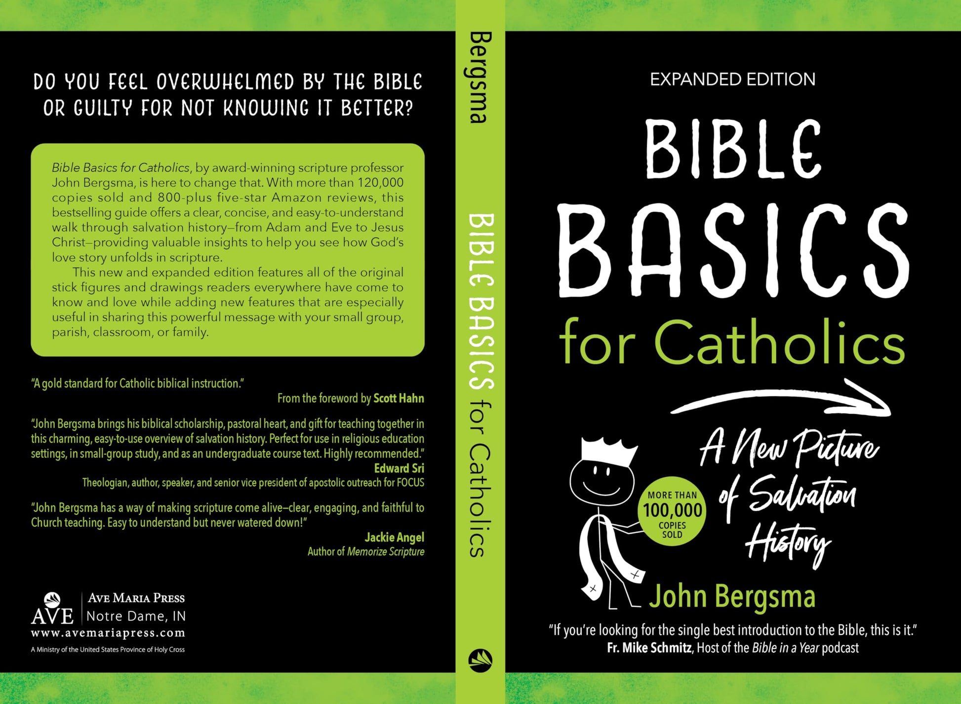 Bible Basics for Catholics (Expanded Edition): A New Picture of Salvation History