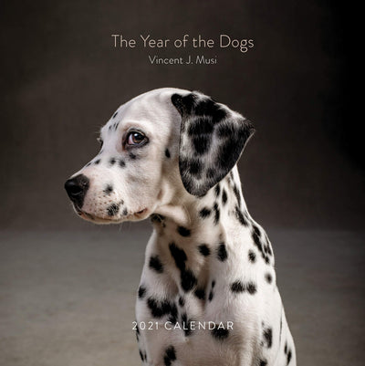 The Year of the Dogs 2021 Wall Calendar: (Dog Portrait 12-Month Calendar, Dog Lovers Photography Monthly Calendar)