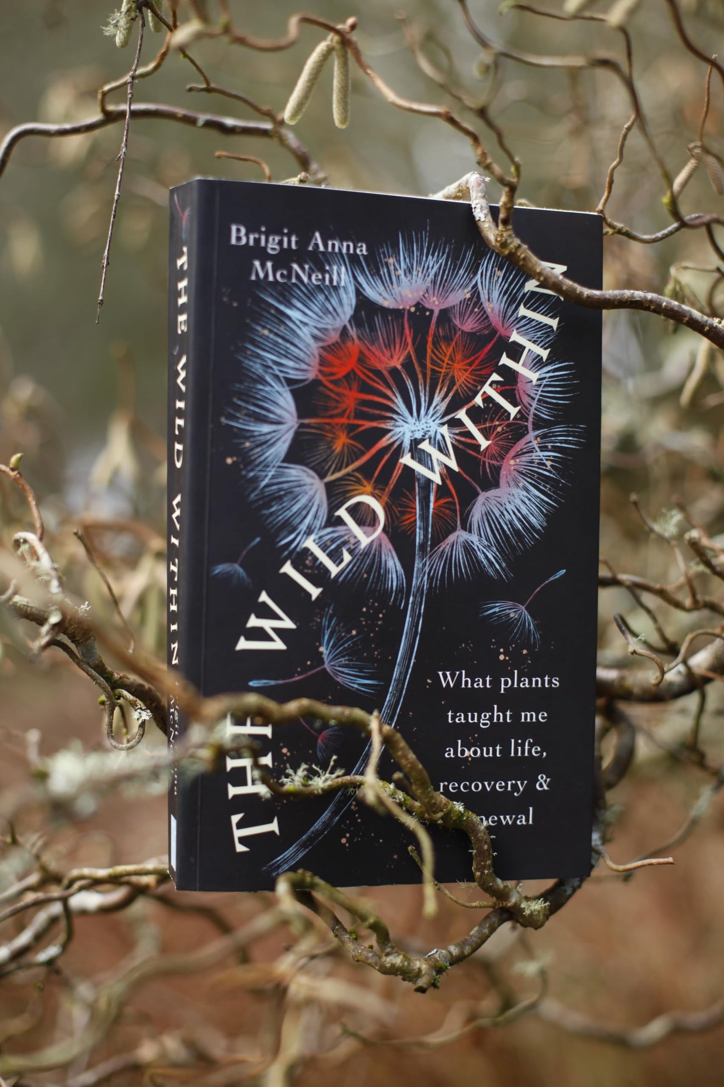 The Wild Within: What Plants Taught Me about Life, Recovery and Renewal