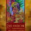 Red Medicine: Traditional Indigenous Rites of Birthing and Healing (First Peoples: New Directions in Indigenous Studies)