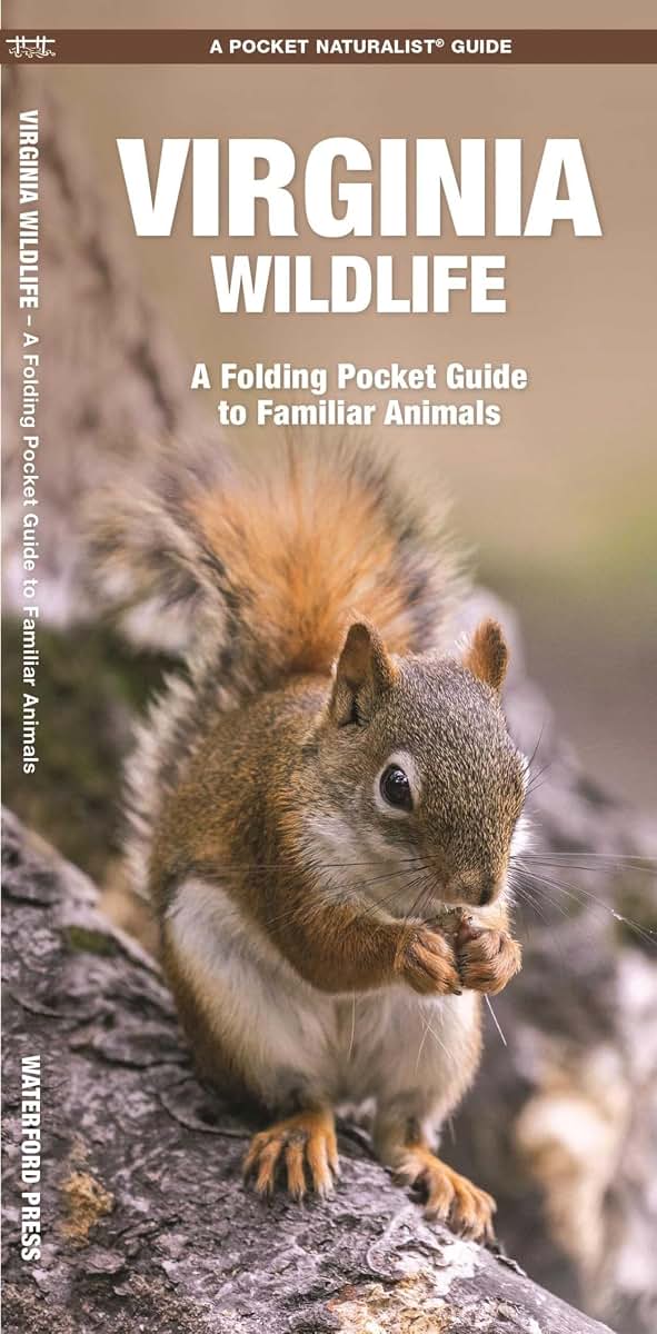 Virginia Wildlife: A Folding Pocket Guide to Familiar Animals (Nature Observation North America)