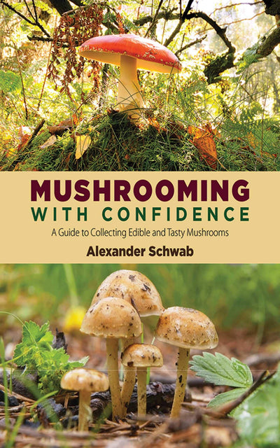 Mushrooming with Confidence: A Guide to Collecting Edible and