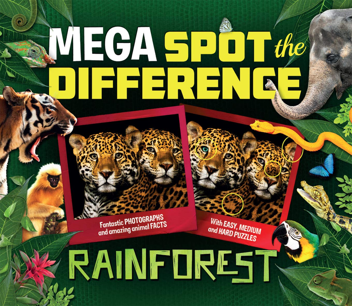 Mega Spot the Difference: Rainforest (Y)
