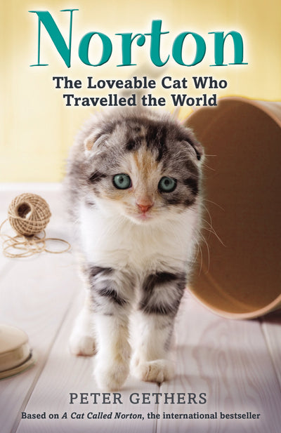 Norton, the Loveable Cat Who Travelled the World