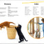 DK Super Readers Level 2 Cats and Kittens
