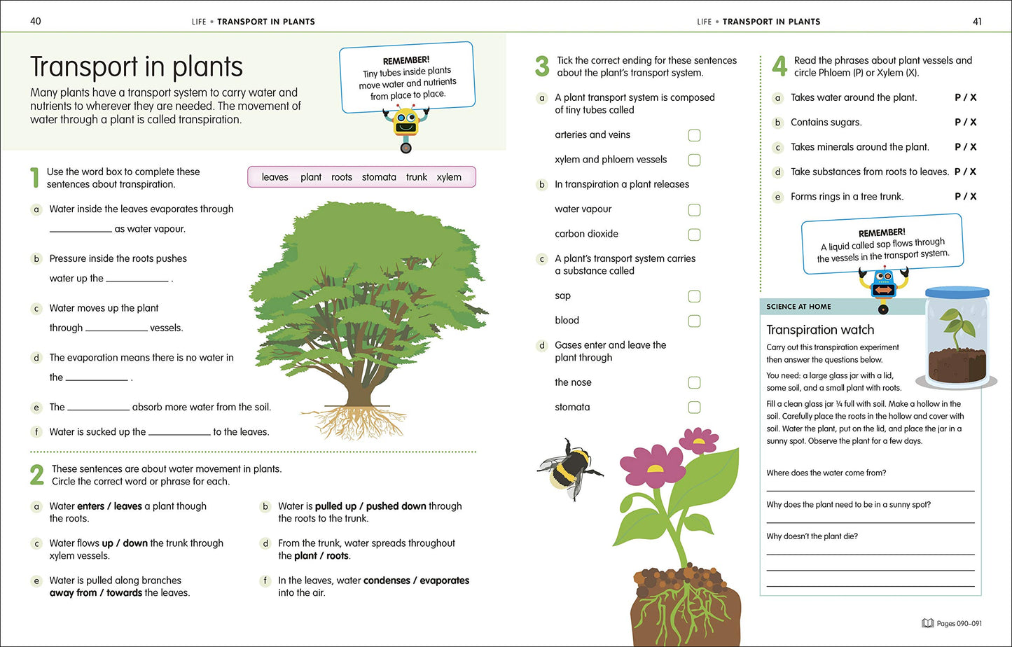 How to Be Good at Science, Technology and Engineering Workbook, Grade 6-8