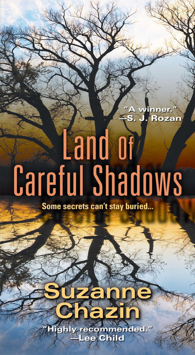 Land of Careful Shadows (A Jimmy Vega Mystery)