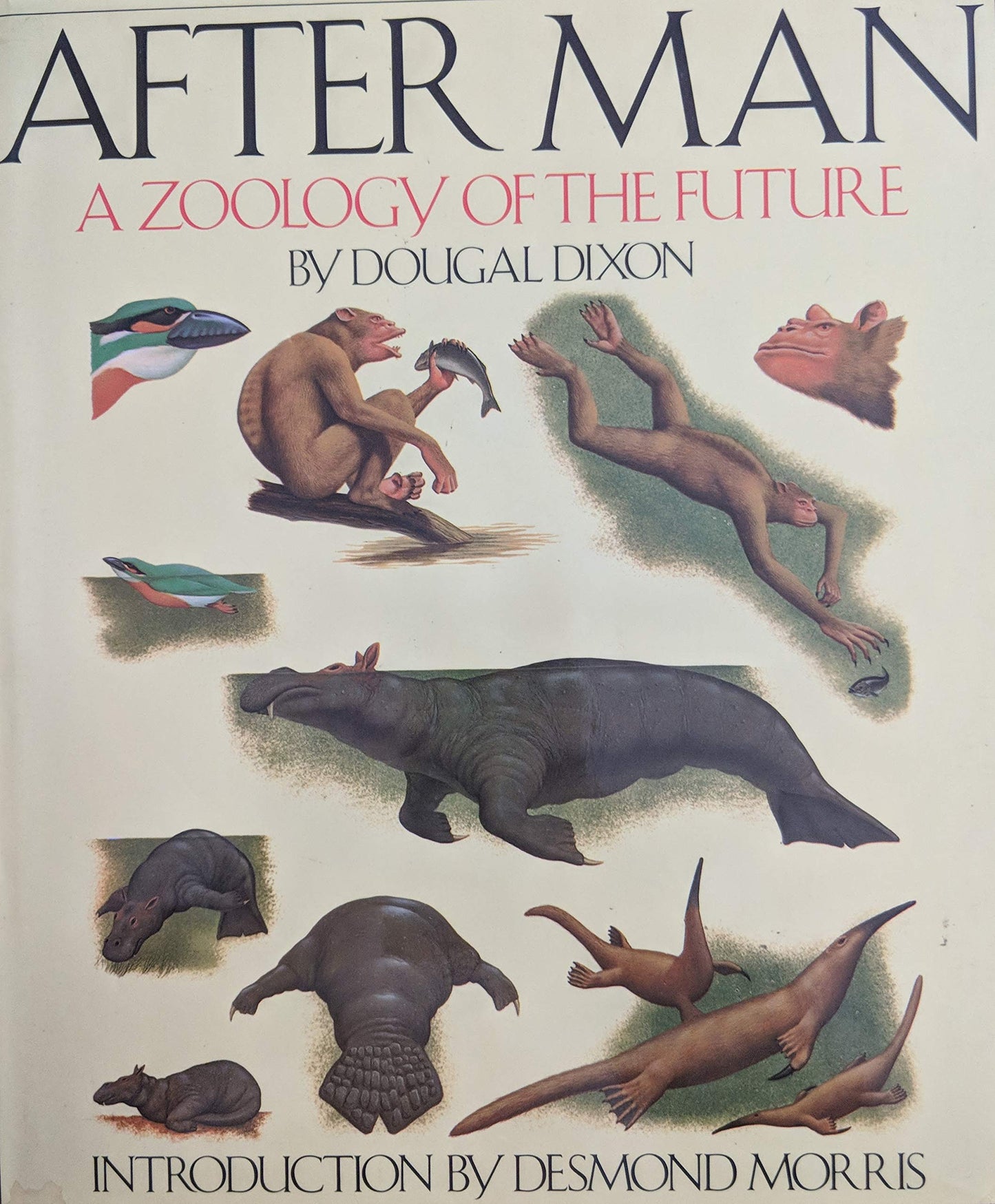 After Man: A Zoology of the Future by Dougal Dixon