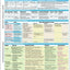 MemoCharts Pharmacology: Diabetes Mellitus and Its Drug Therapy (Review chart)