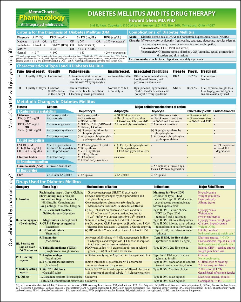 MemoCharts Pharmacology: Diabetes Mellitus and Its Drug Therapy (Review chart)