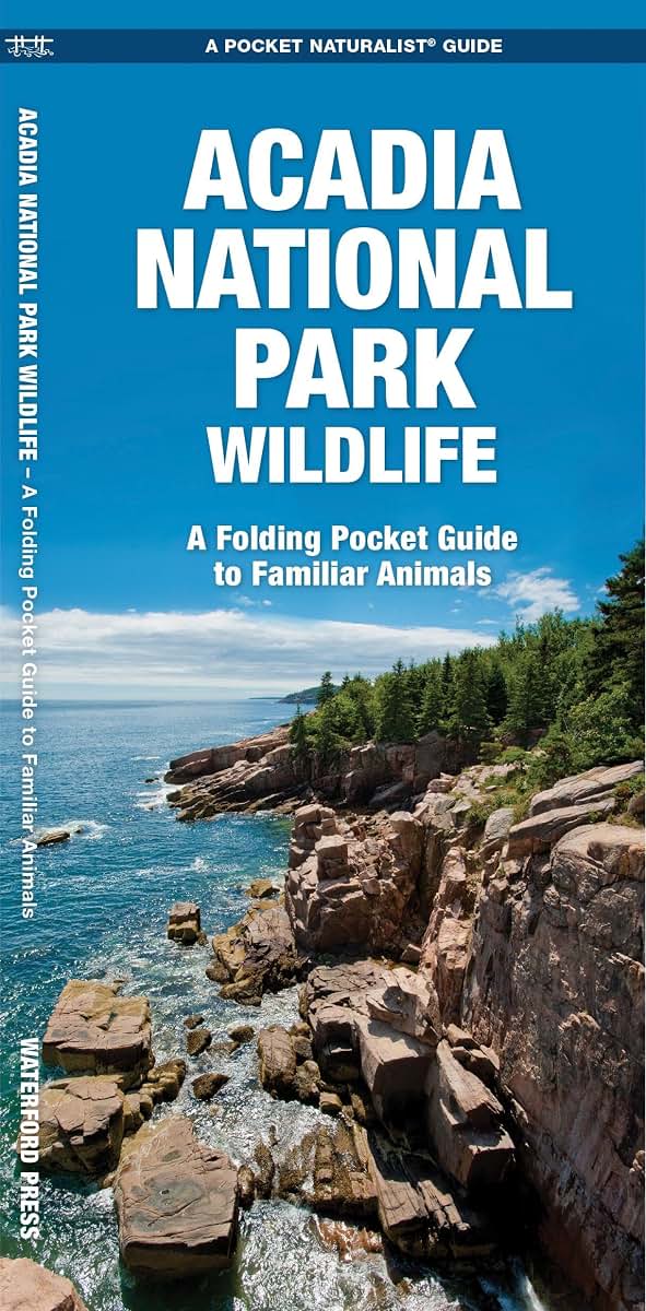 Acadia National Park Wildlife: A Folding Pocket Guide to Familiar Animals (Wildlife and Nature Identification)