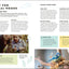 1000 Hours Outside: Activities to Match Screen Time with Green Time