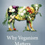 Why Veganism Matters: The Moral Value of Animals (Critical Perspectives on Animals: Theory, Culture, Science, and Law)