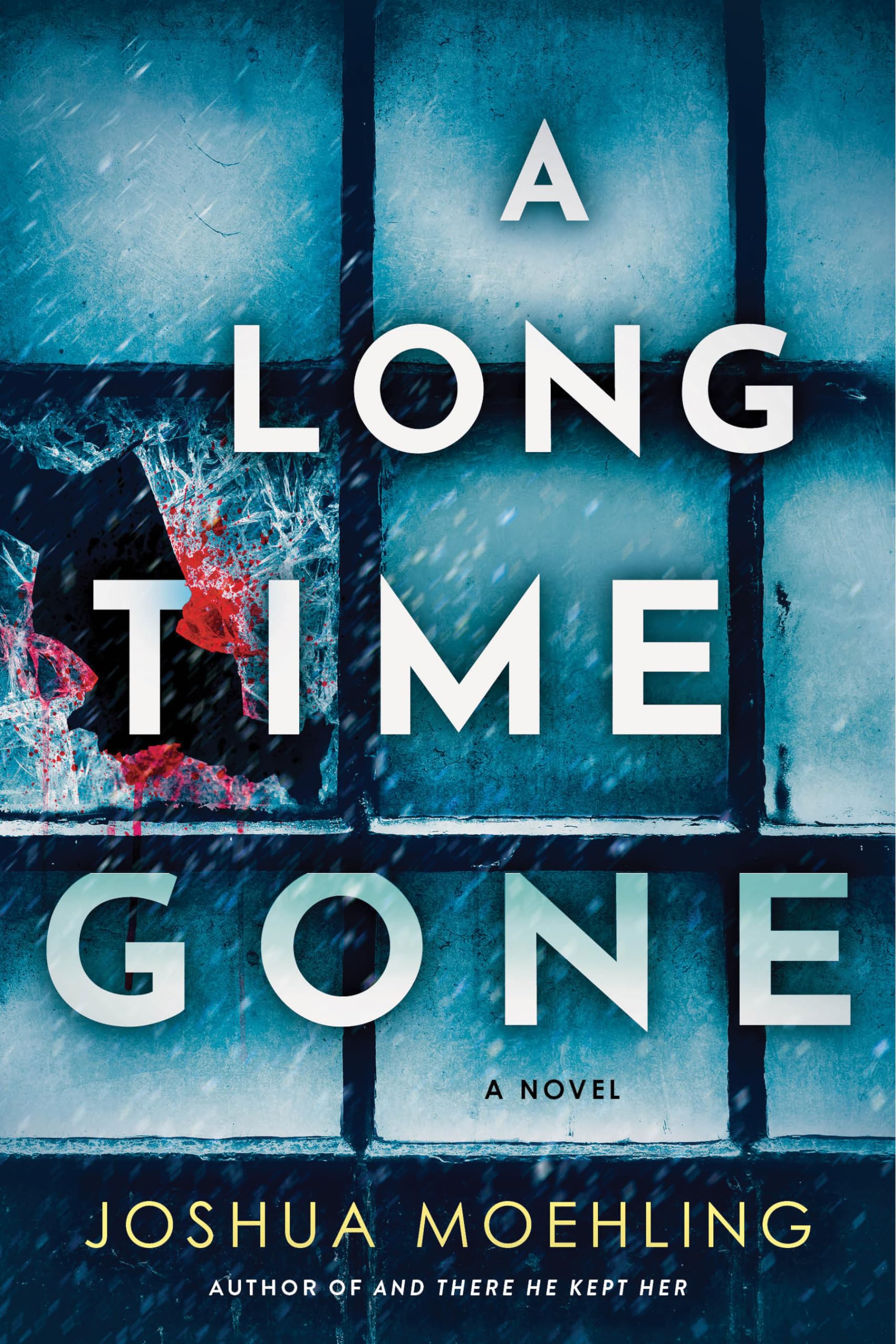 A Long Time Gone: A Novel (Ben Packard, 3)