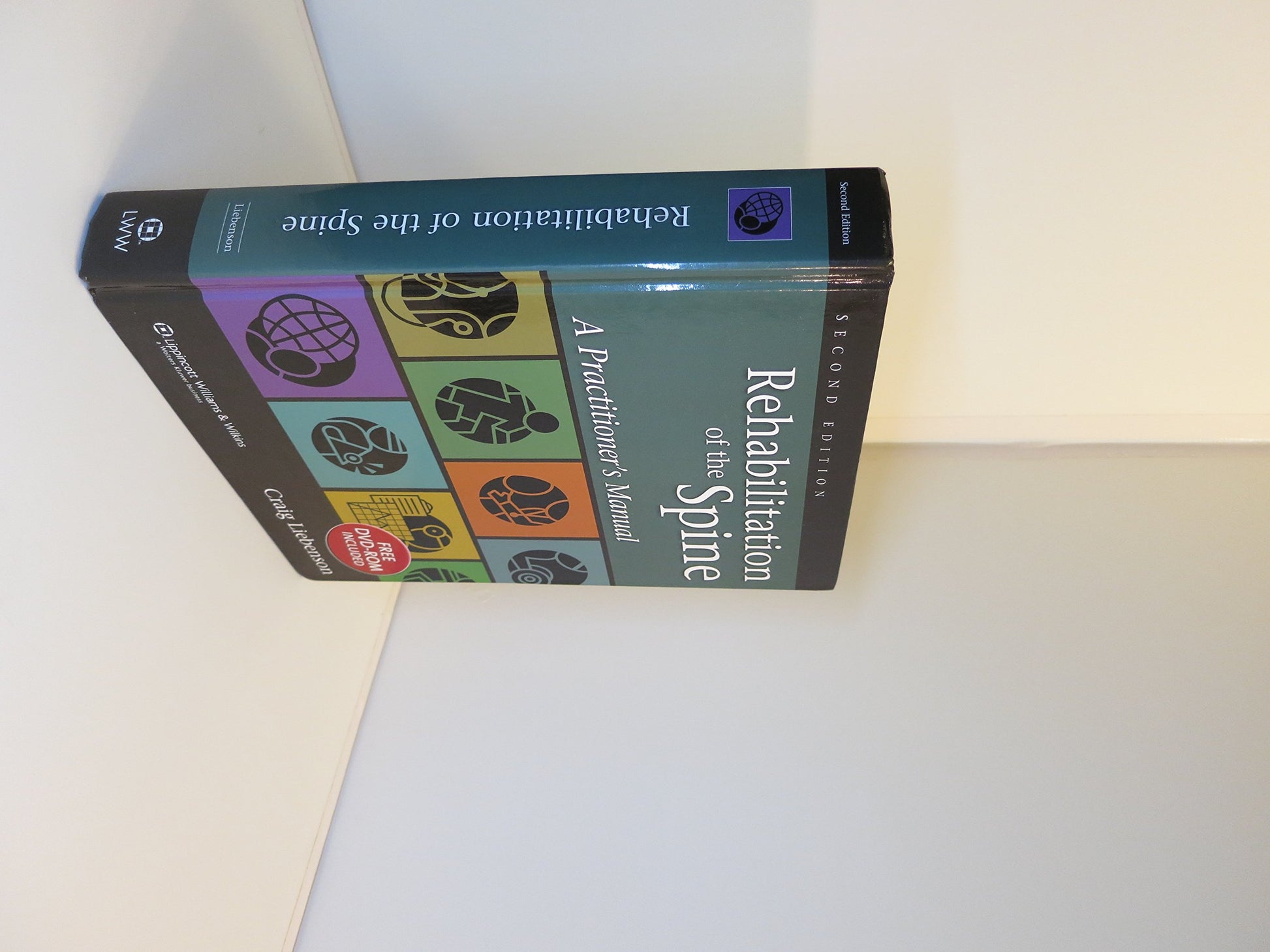 Rehabilitation of the Spine: A Practitioner's Manual