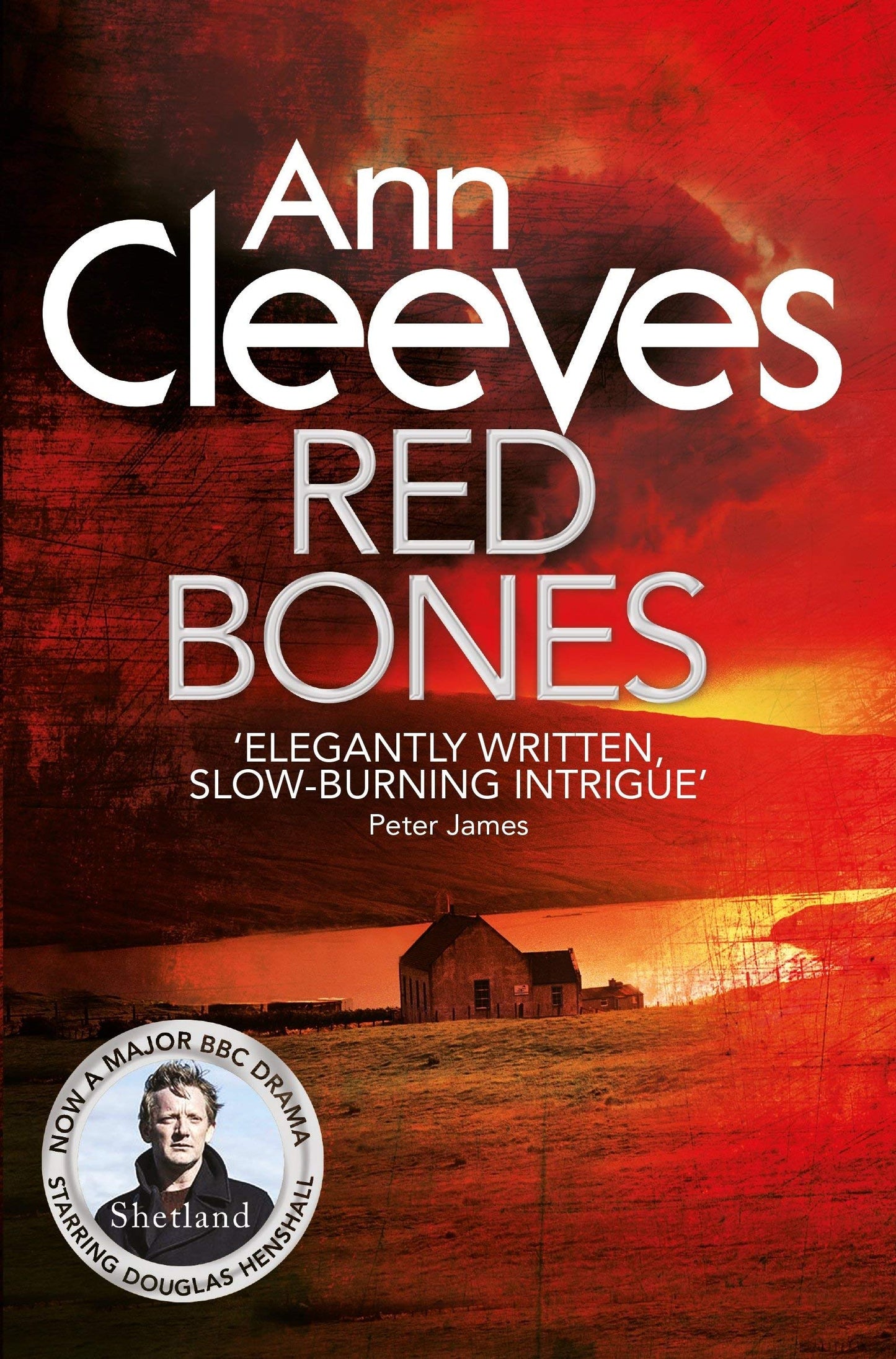 Ann Cleeves Shetland Series 8 Books Collection Set (Raven Black, White Nights, Red Bones, Blue Lightning, Dead Water, Thin Air, Cold Earth, Wild Fire)