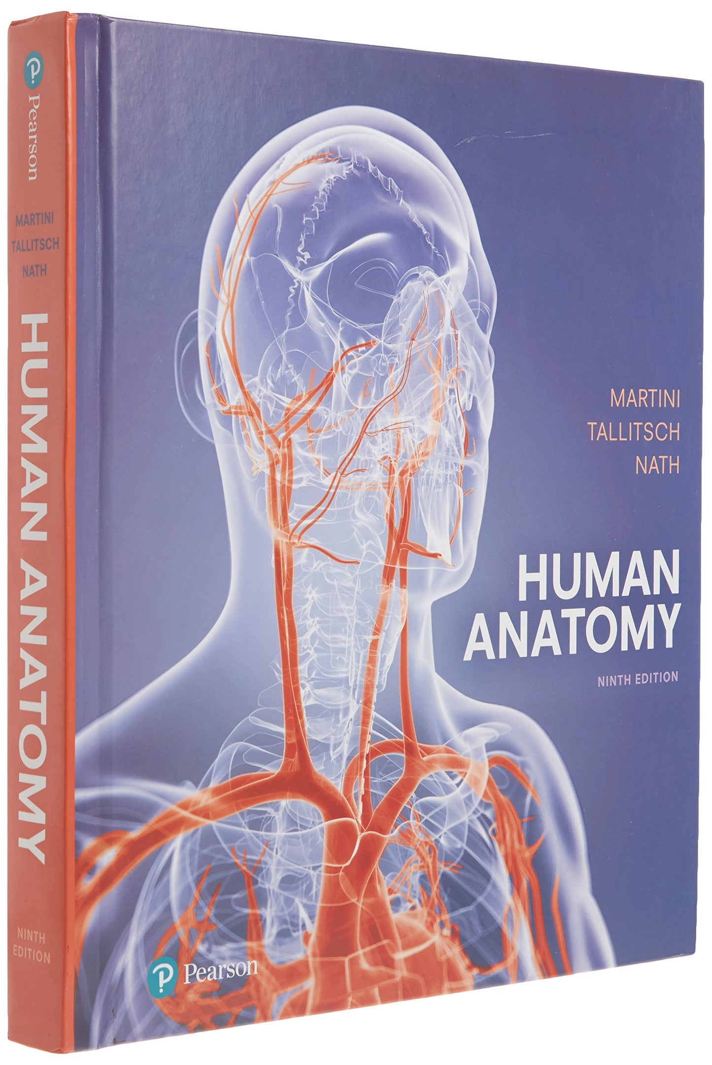 Human Anatomy