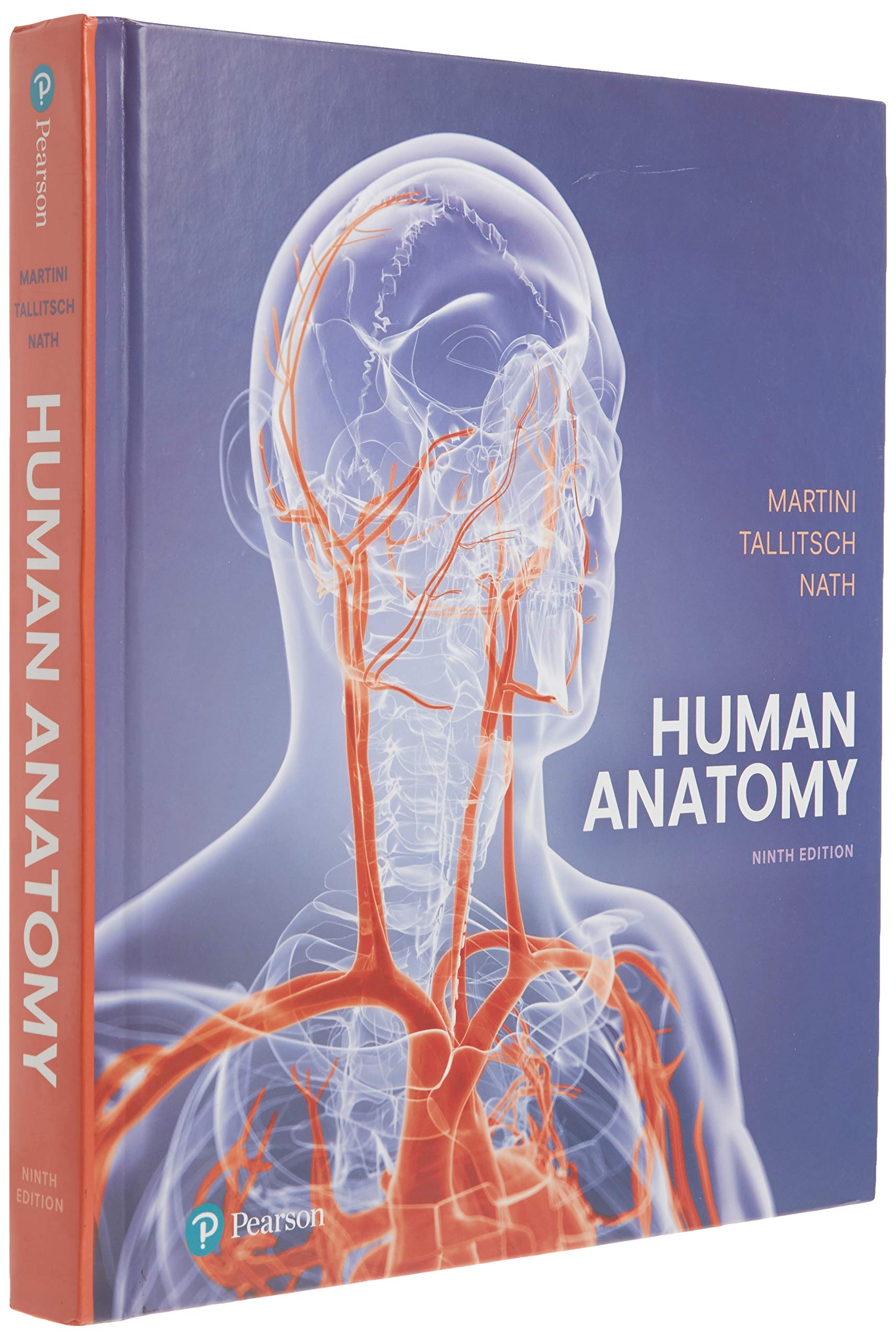 Human Anatomy