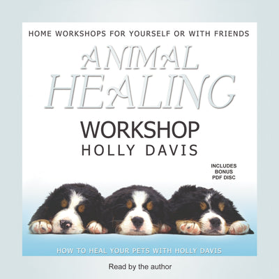 Animal Healing Workshop