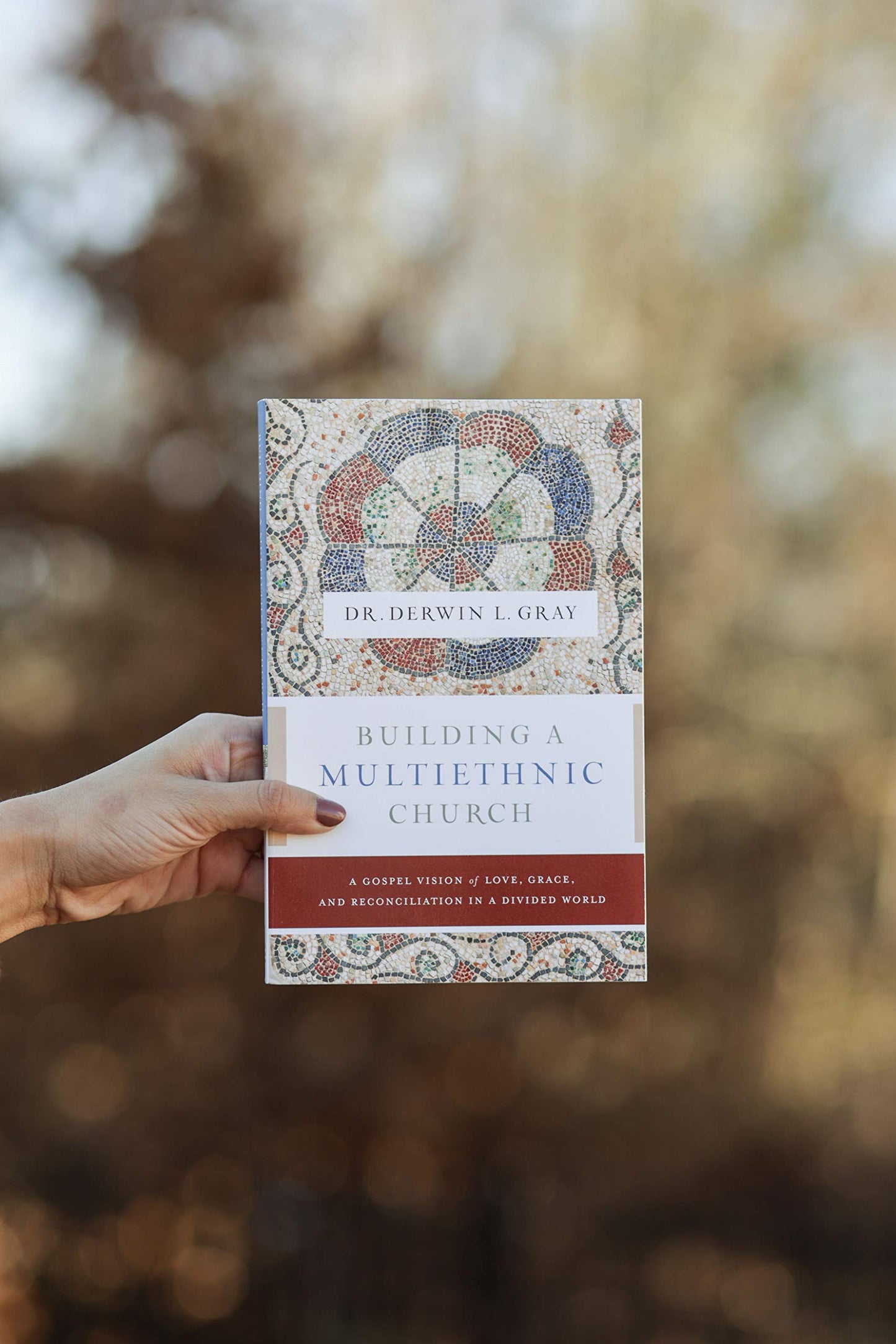 Building a Multiethnic Church: A Gospel Vision of Love, Grace, and Reconciliation in a Divided World
