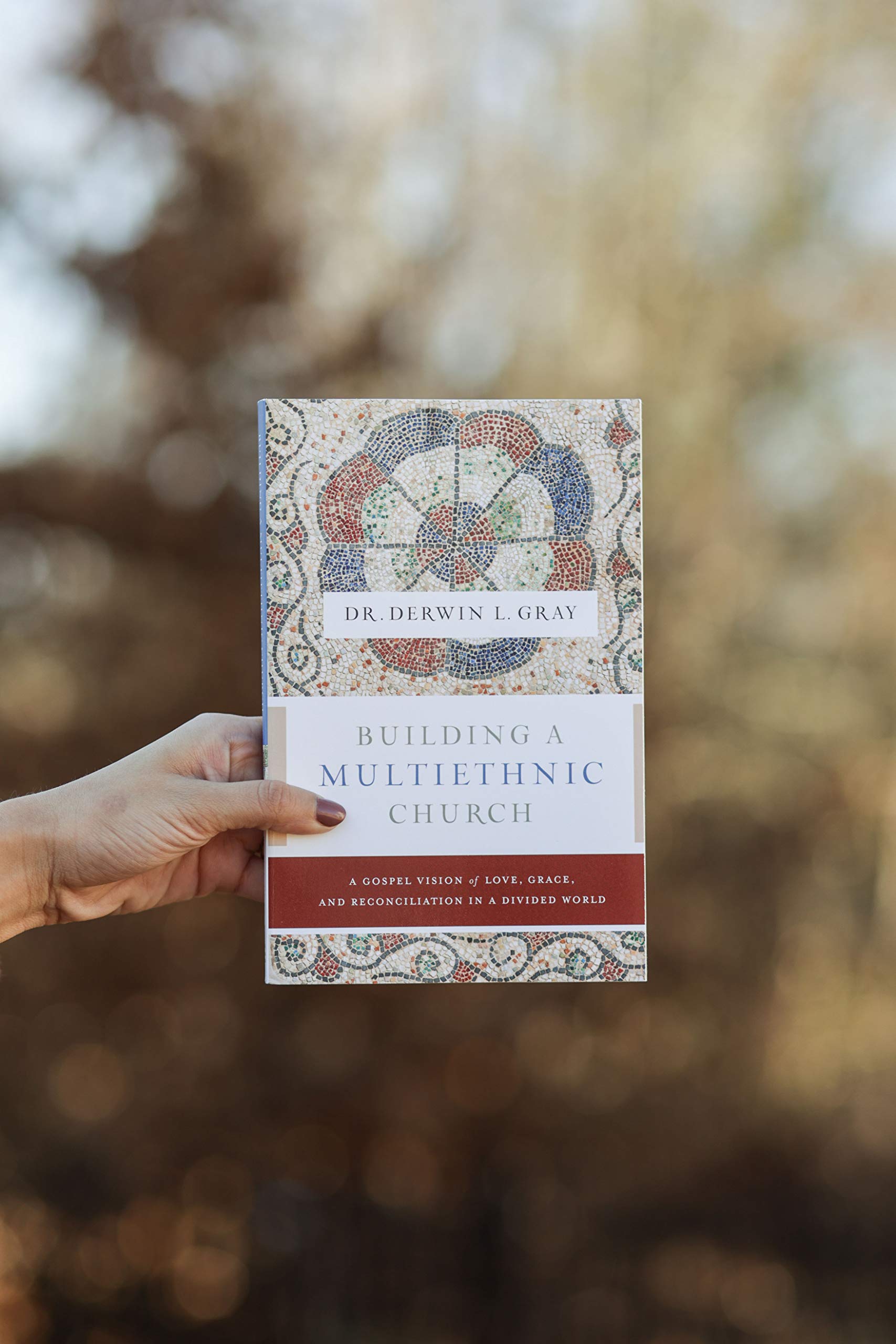 Building a Multiethnic Church: A Gospel Vision of Love, Grace, and Reconciliation in a Divided World