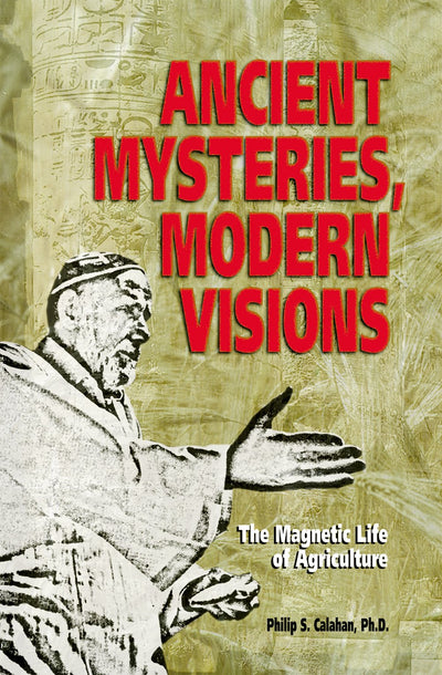 Ancient Mysteries, Modern Visions: The Magnetic Life of Agri