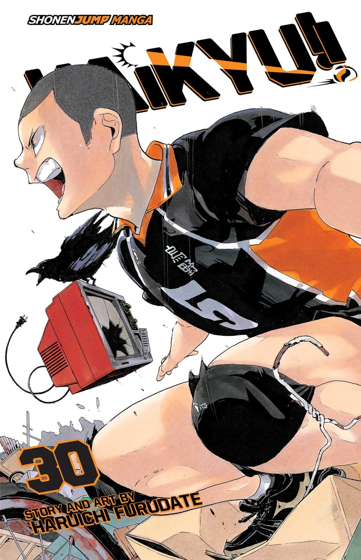 Haikyu!!, Vol. 30 (30)