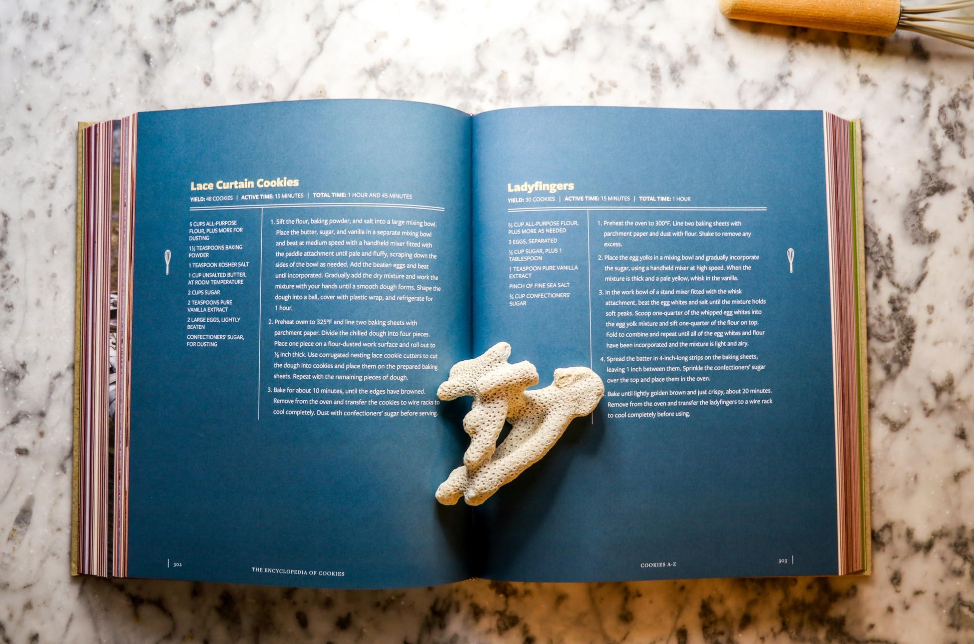 The Encyclopedia of Cookies: Over 500 Tasty Recipes for Cookie Lovers of All Ages (Encyclopedia Cookbooks)