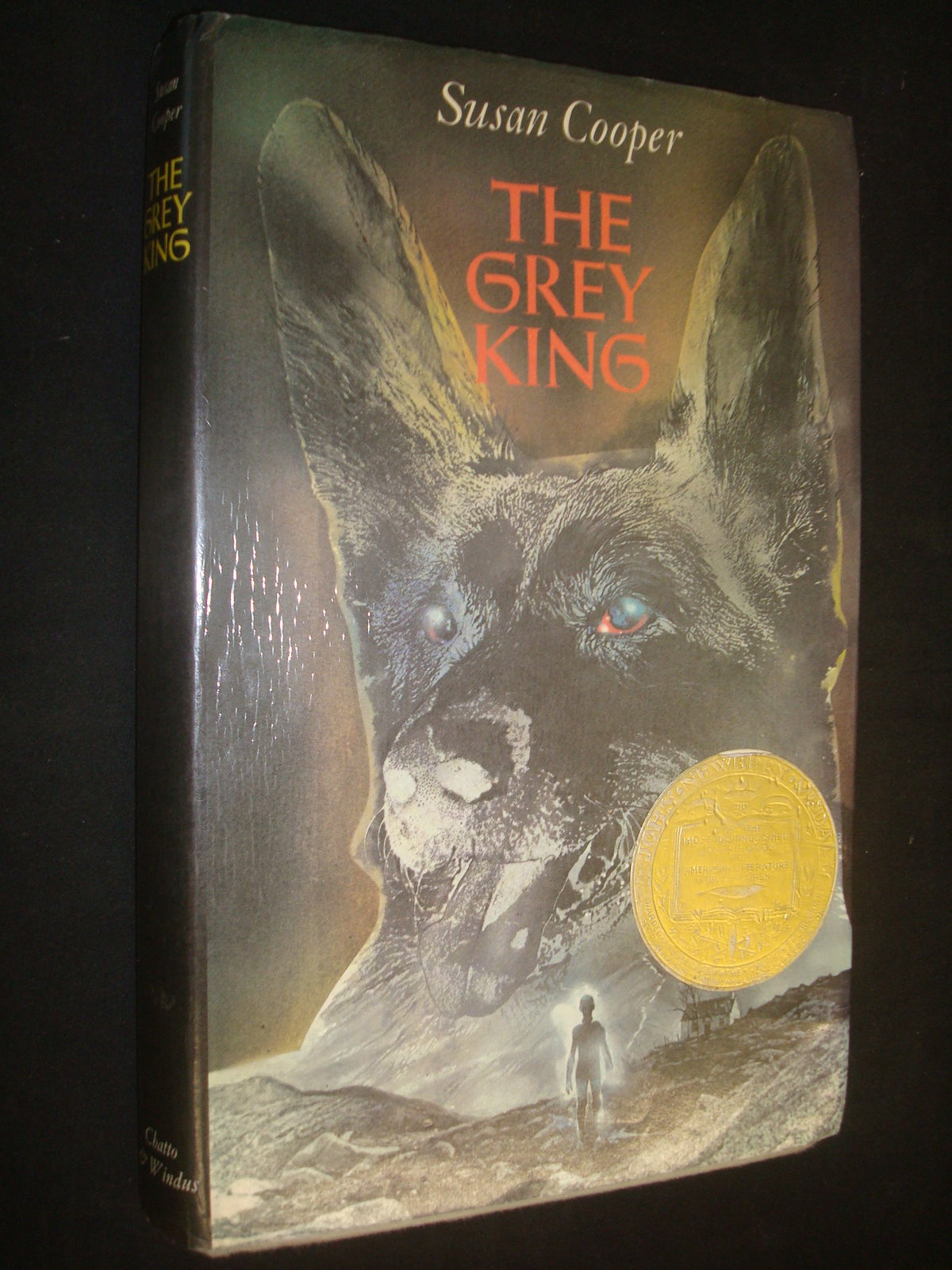 The grey king