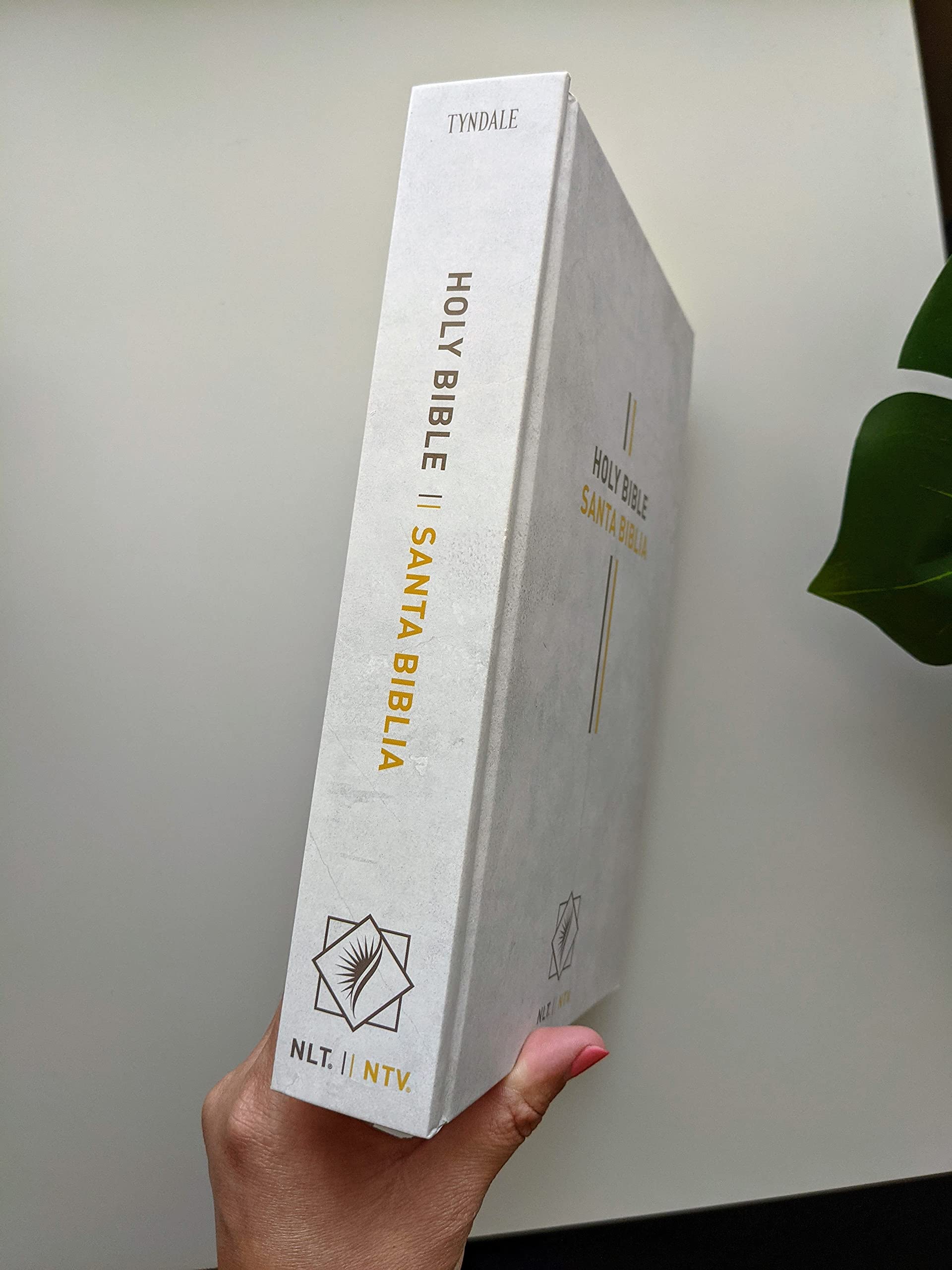 Bilingual Bible / Biblia biling?e NLT/NTV (Hardcover, Gray)