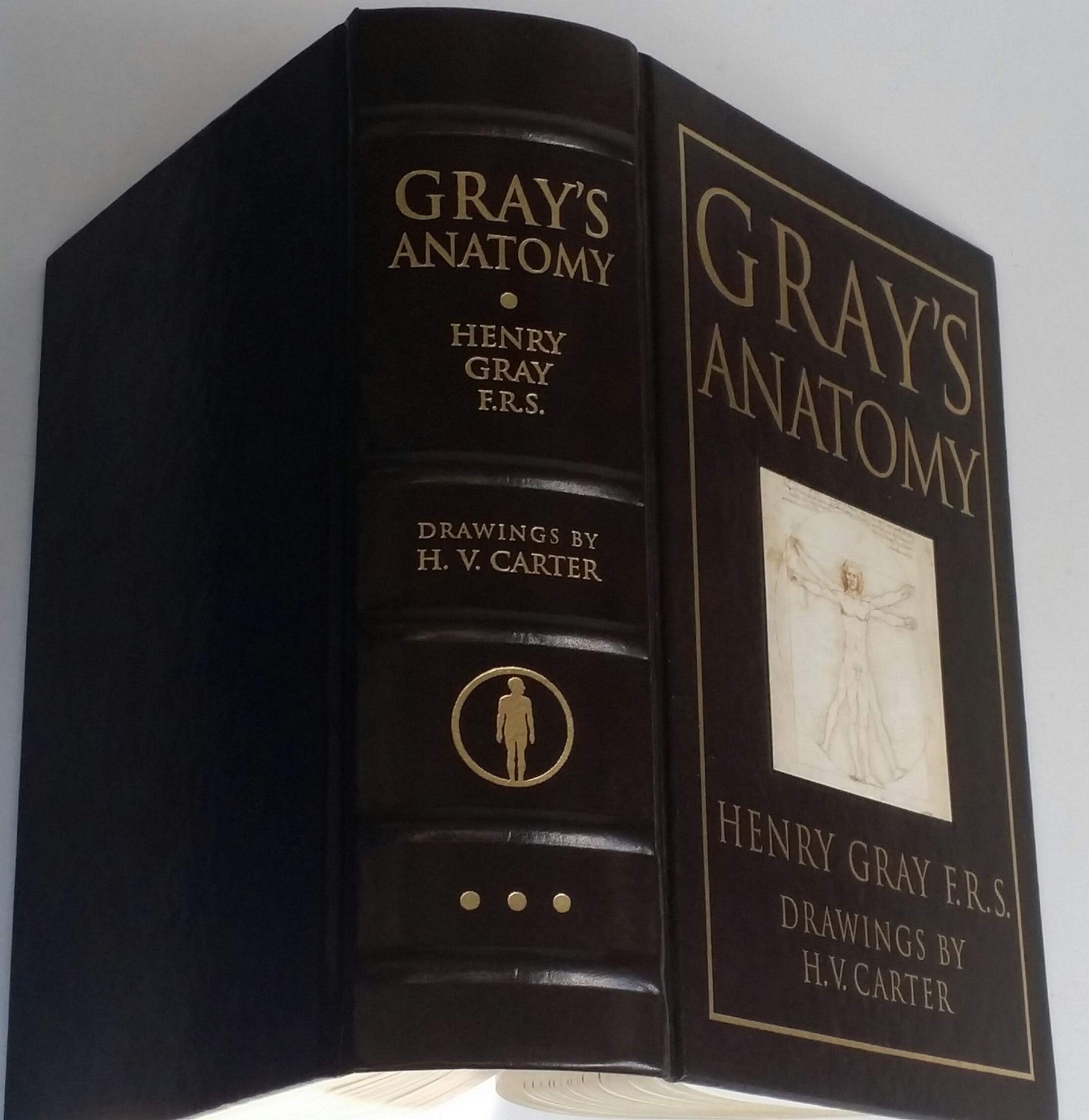 Gray's Anatomy