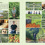 JADAM Organic Pest and Disease Control: Powerful DIY Solutions