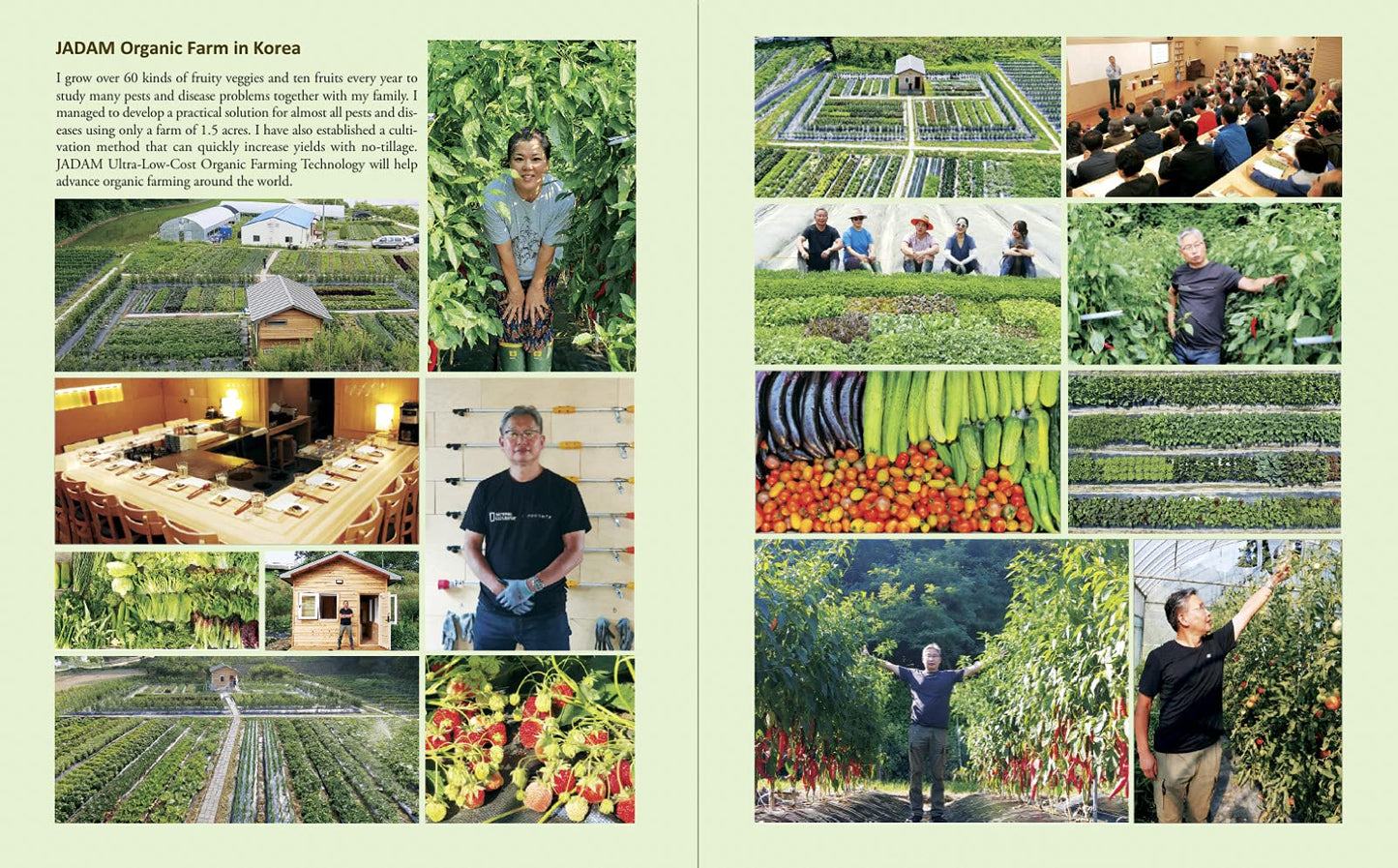 JADAM Organic Pest and Disease Control: Powerful DIY Solutions