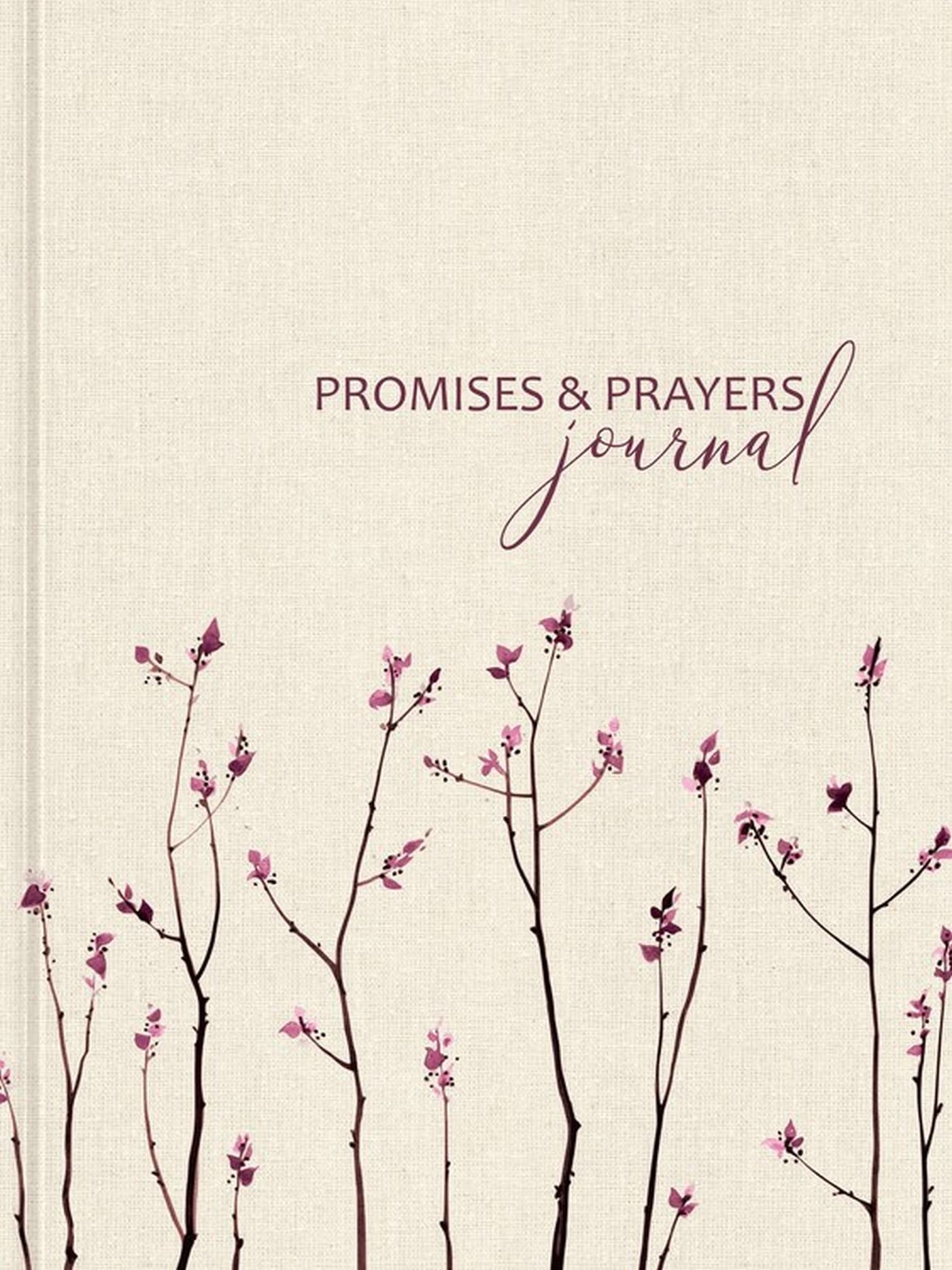 Promises and Prayers Journal (Signature Journals)