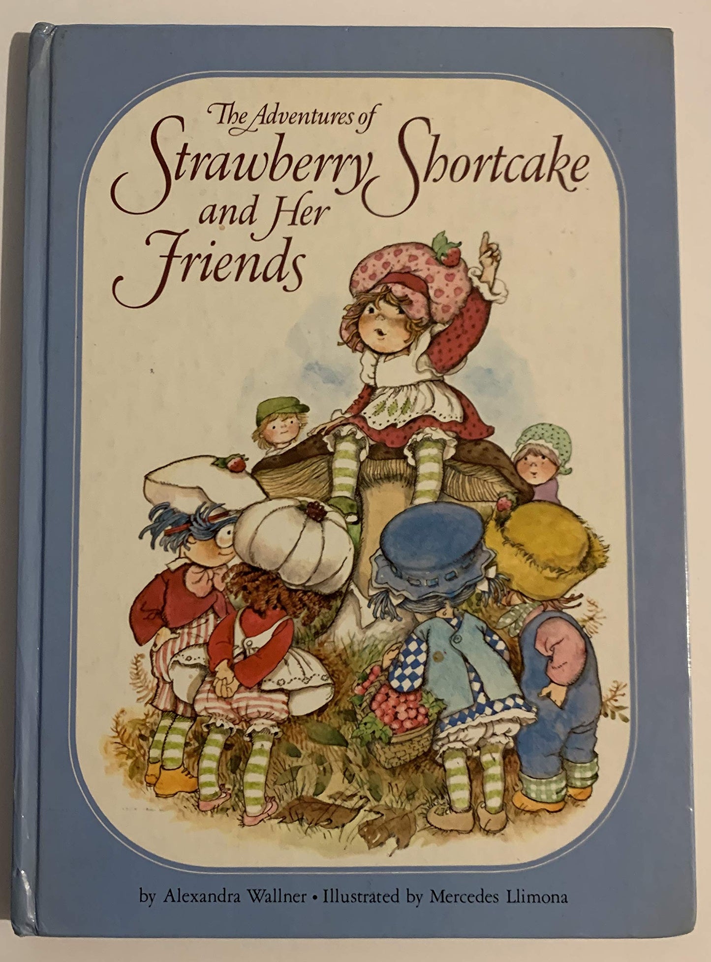 Adventures of Strawberry Shortcake and Her Friends by Strawb