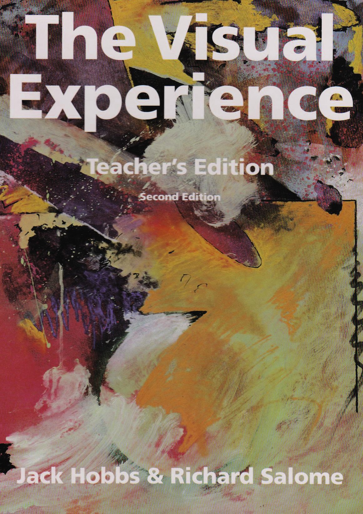 The Visual Experience