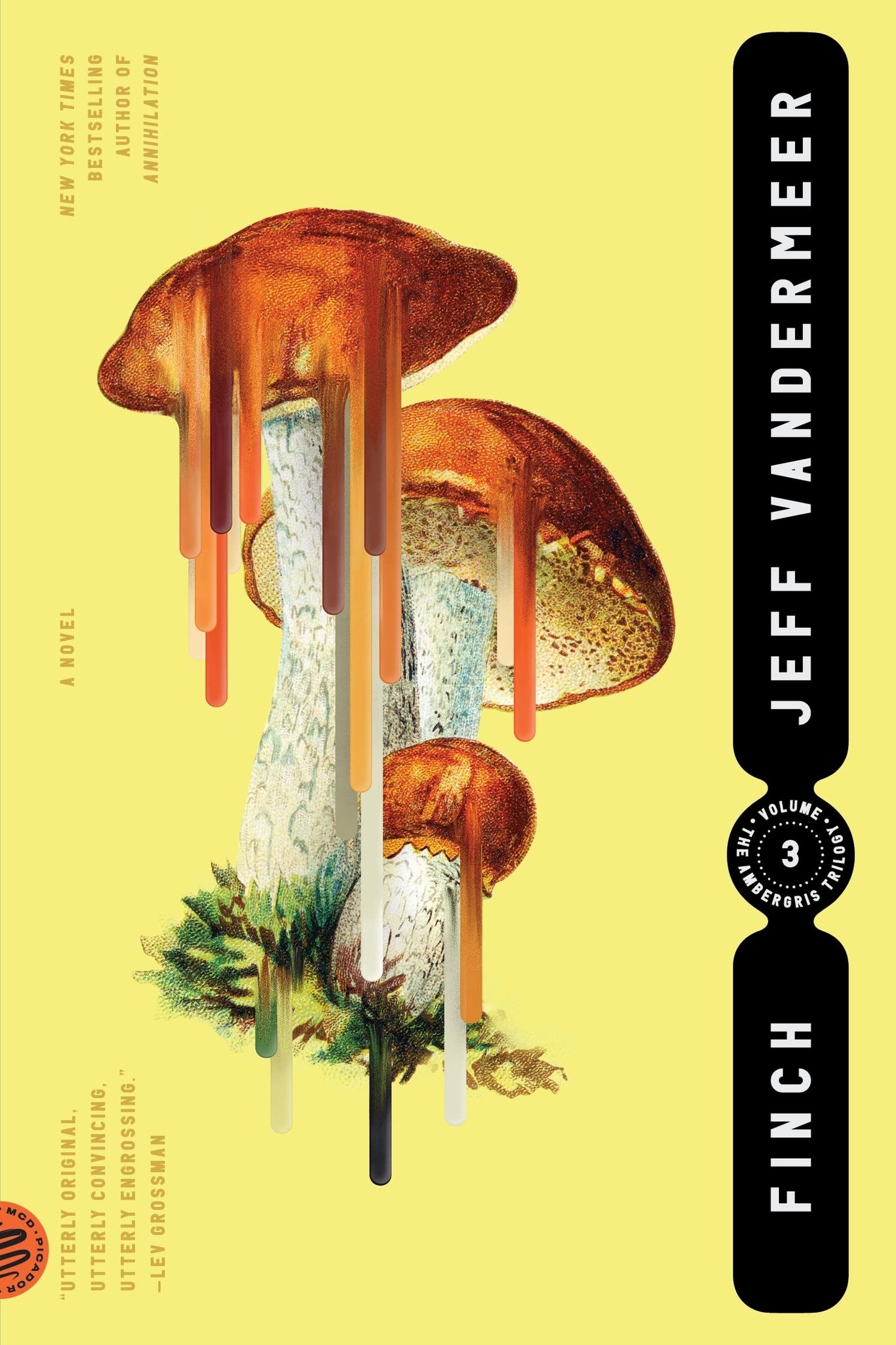 Finch (The Ambergris Trilogy, 3) by Jeff VanderMeer