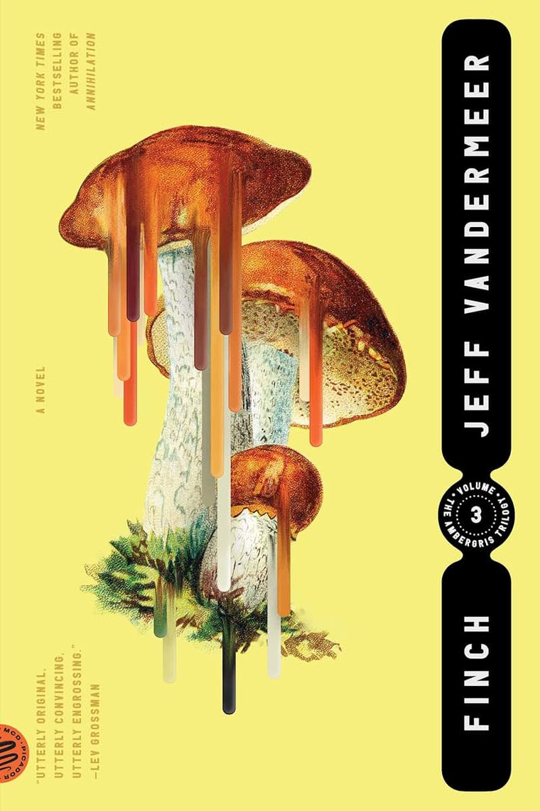 Finch (The Ambergris Trilogy, 3) by Jeff VanderMeer