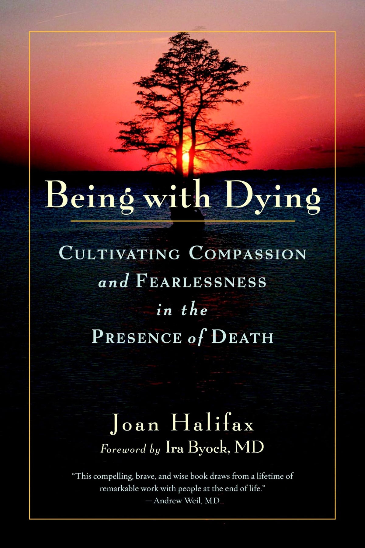Being with Dying: Cultivating Compassion and Fearlessness in the Presence of Death
