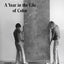1971: A Year in the Life of Color