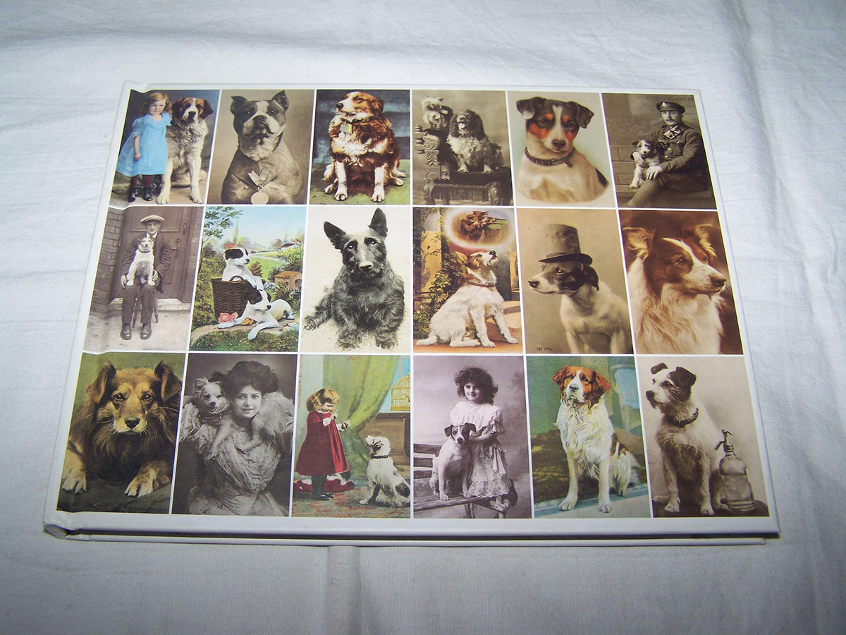 Postcard Dogs