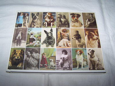 Postcard Dogs