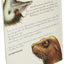 Edward the Emu: A Wonderful Funny Picture Book for Kids (Ages 4-8) About Being Yourself