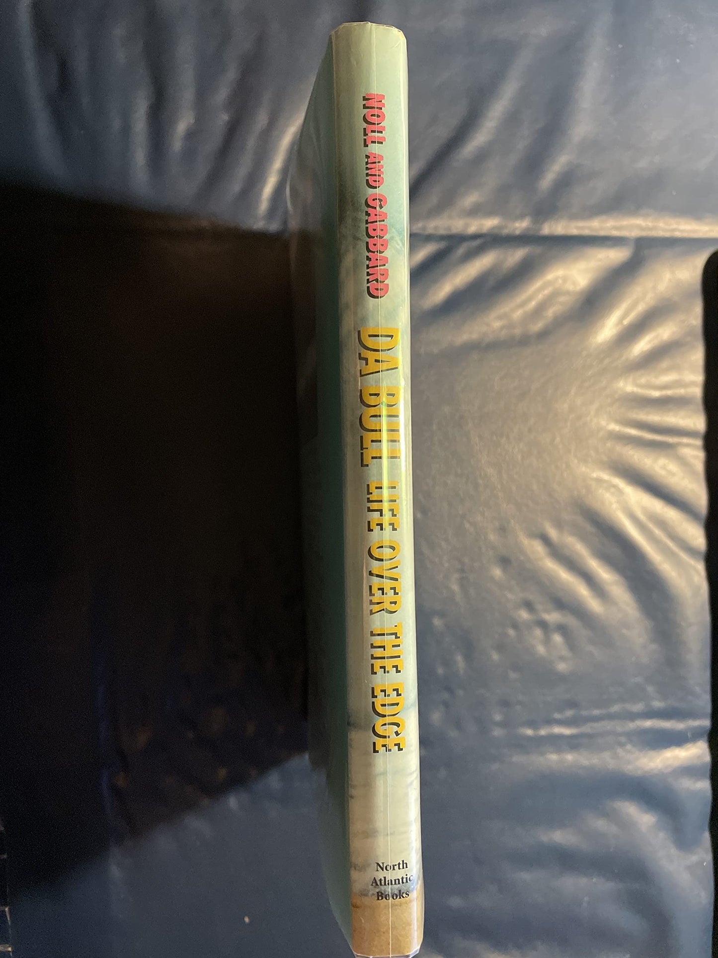 Da Bull: Life Over the Edge by Greg Noll