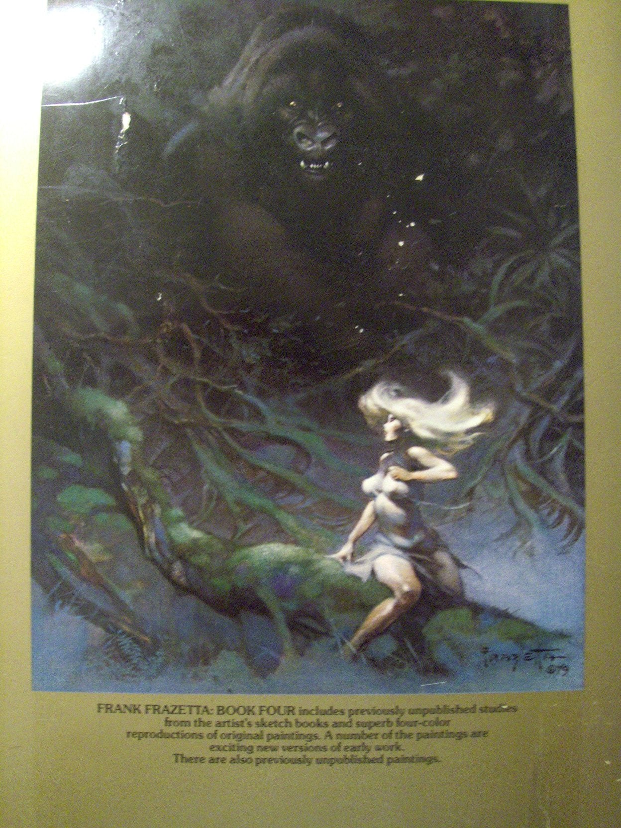 Frank Frazetta: Book four